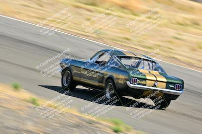 media/Mar-23-2025-West Coast Racing (Sun) [[de161b708f]]/Yellow Group/Session 3 (Turns 3 and 5)/